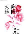 婿母情(全集)小说